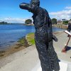 saint cado 12